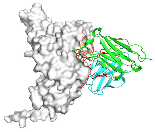 Figure 21