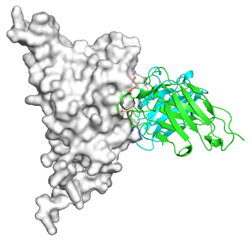 Figure 22