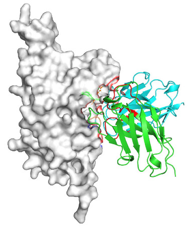 Figure 23