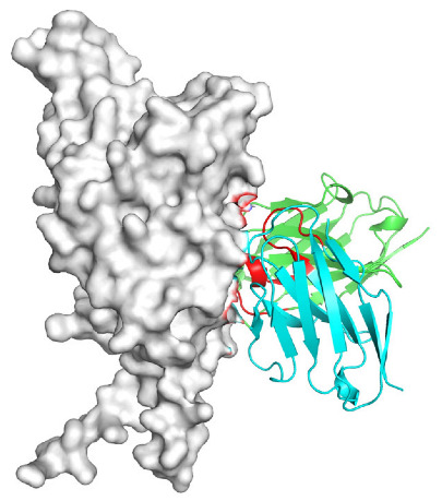 Figure 24