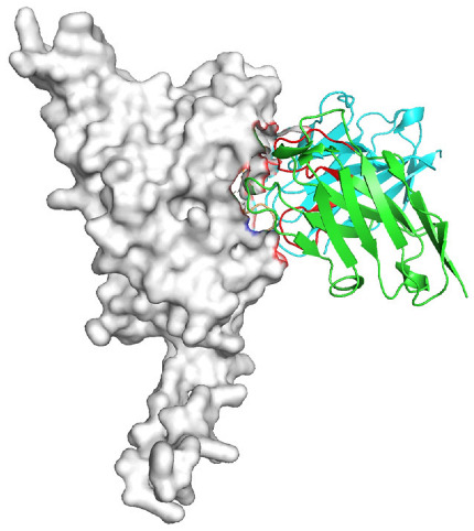 Figure 25