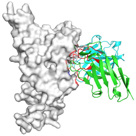 Figure 26