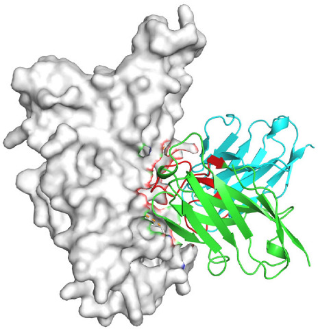 Figure 28