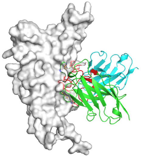 Figure 29