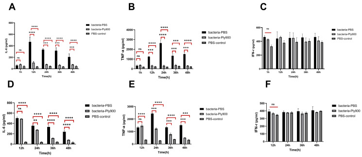 Figure 11