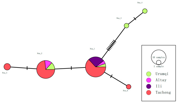 Figure 5