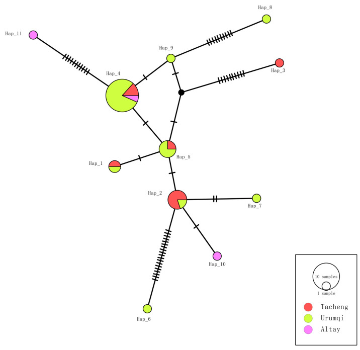 Figure 6