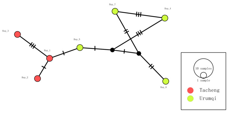 Figure 7