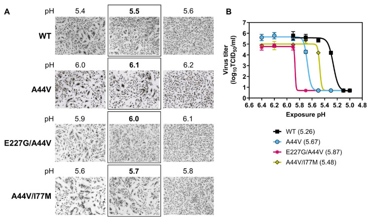 Figure 7