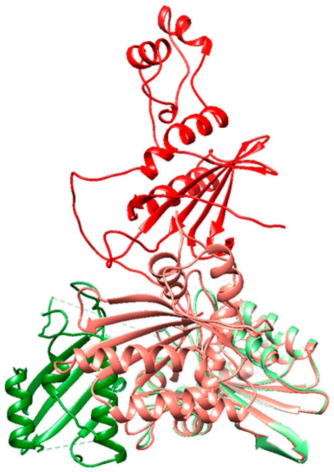 Figure 4