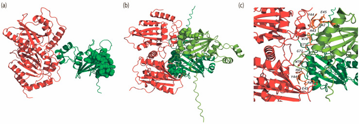 Figure 5