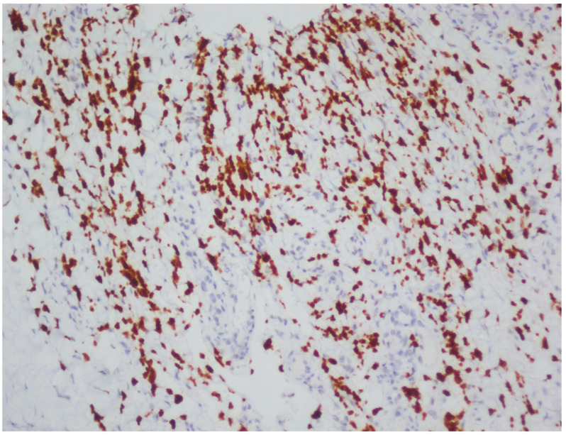 Figure 6