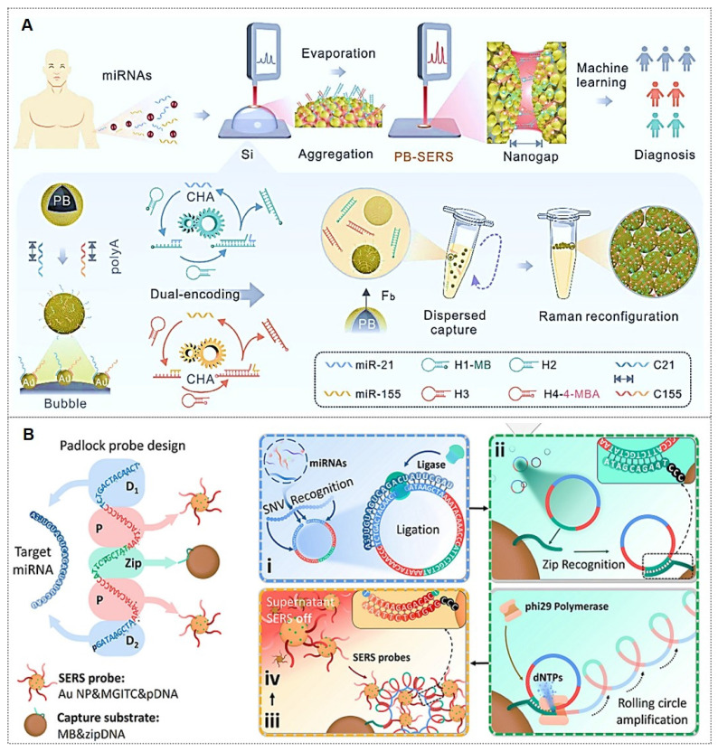 Figure 12