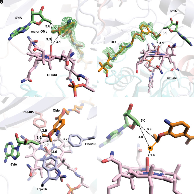 Fig. 4