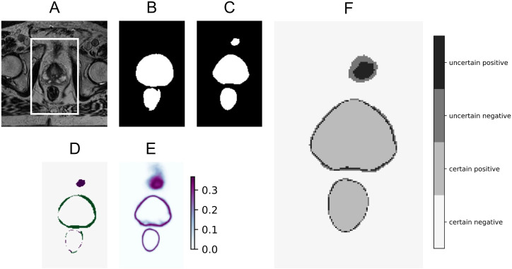 Figure 5