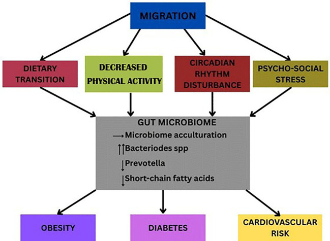 Figure 3