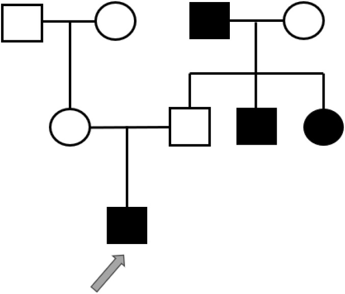 Figure 1