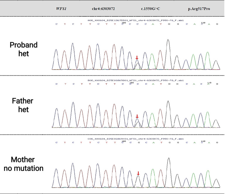 Figure 2