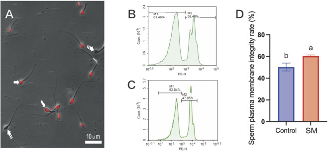 FIGURE 3