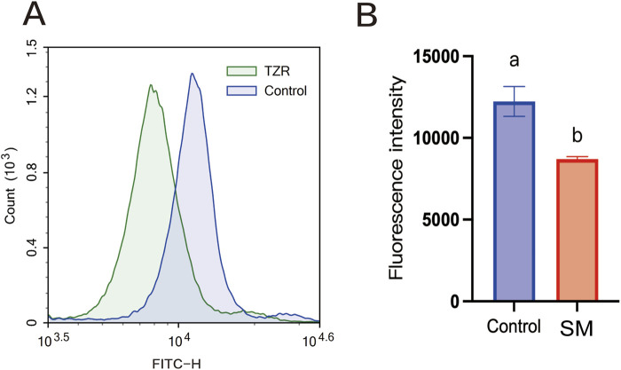 FIGURE 6