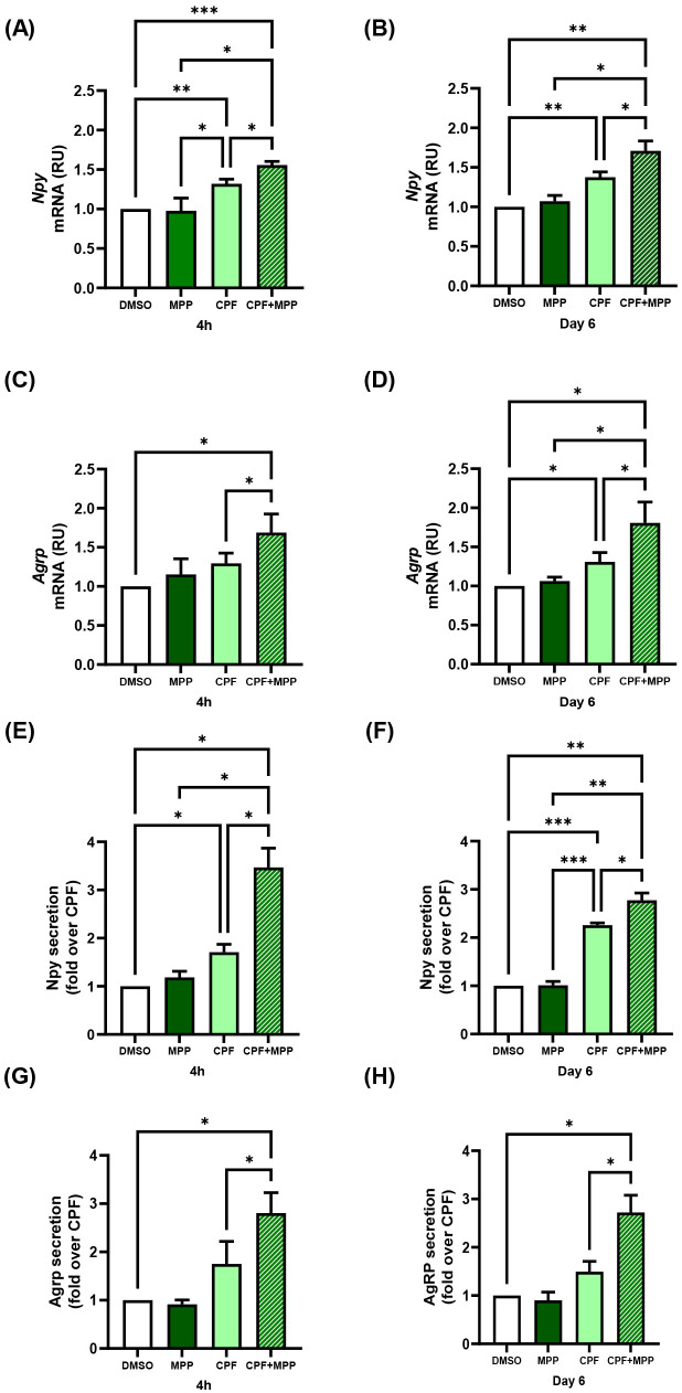 Figure 5
