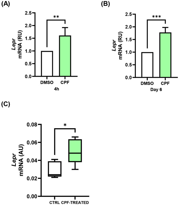 Figure 7