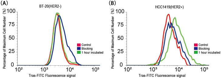 Figure 6