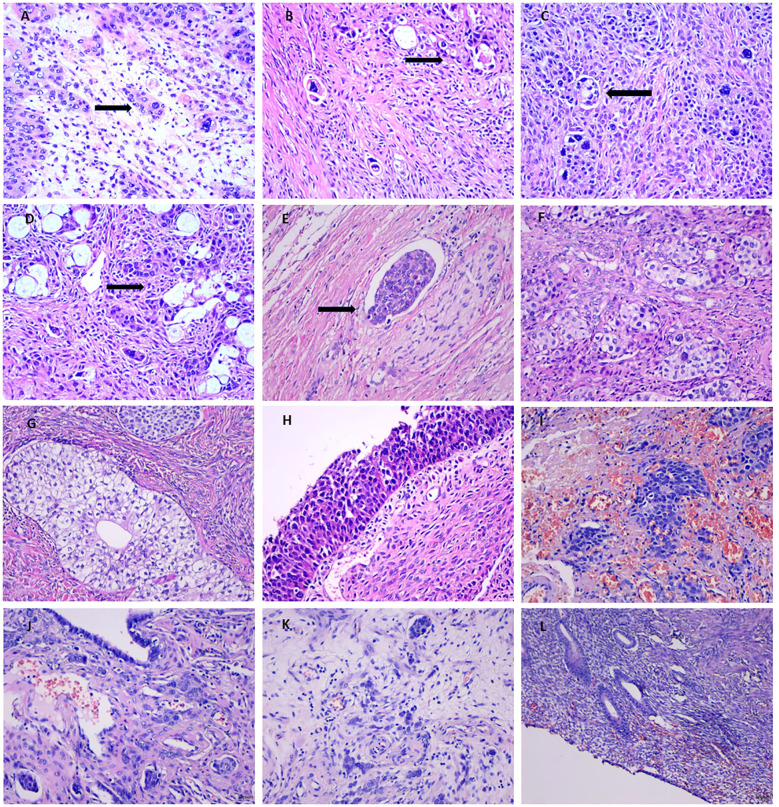 Figure 3