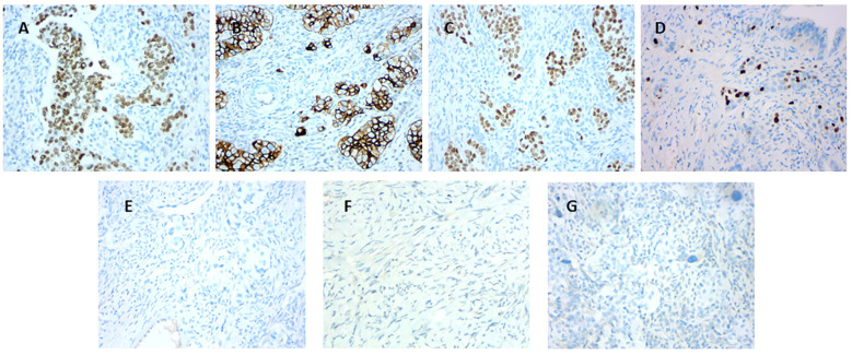 Figure 4