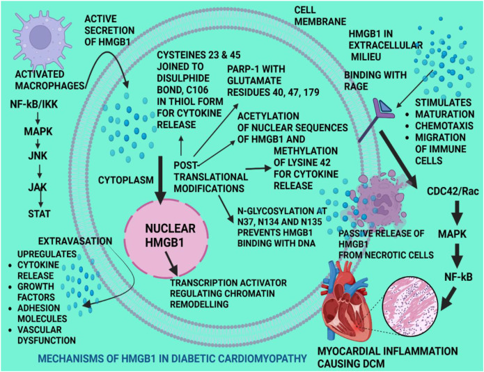 Figure 1