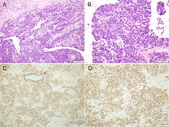 Figure 3