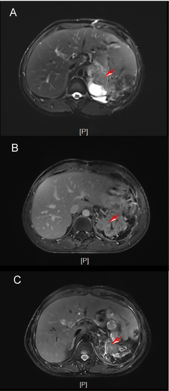Figure 4