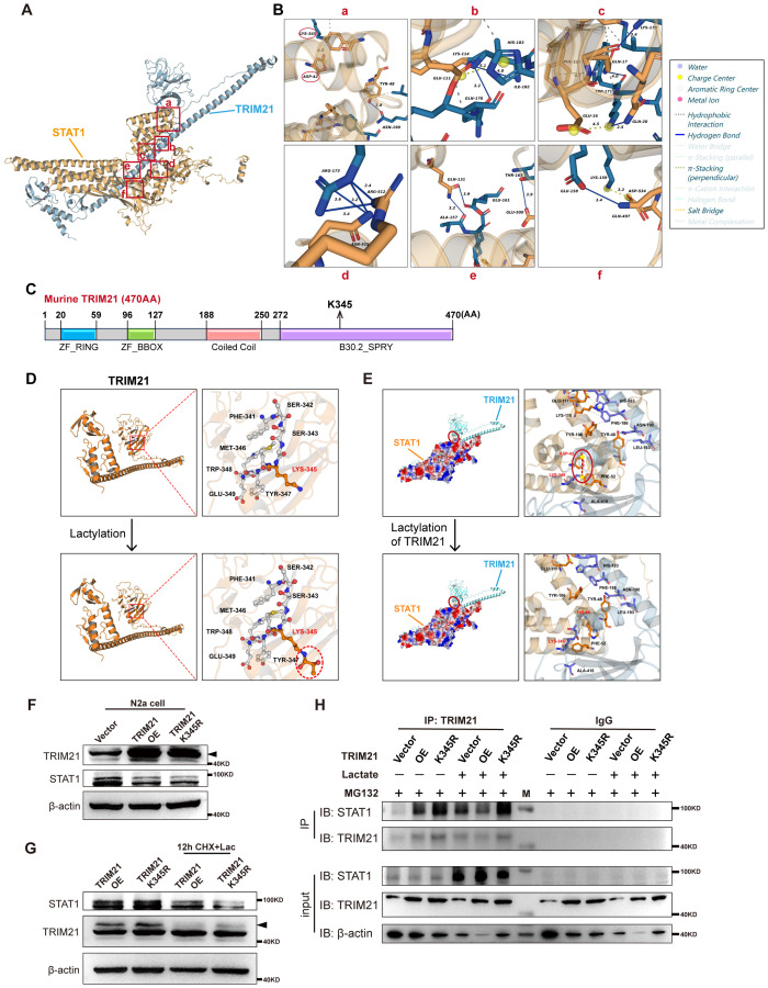 Figure 6