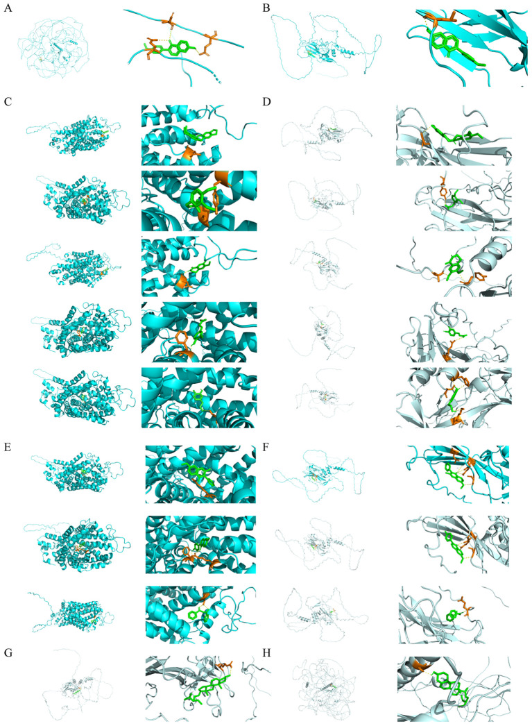 Figure 7