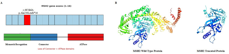 Figure 4