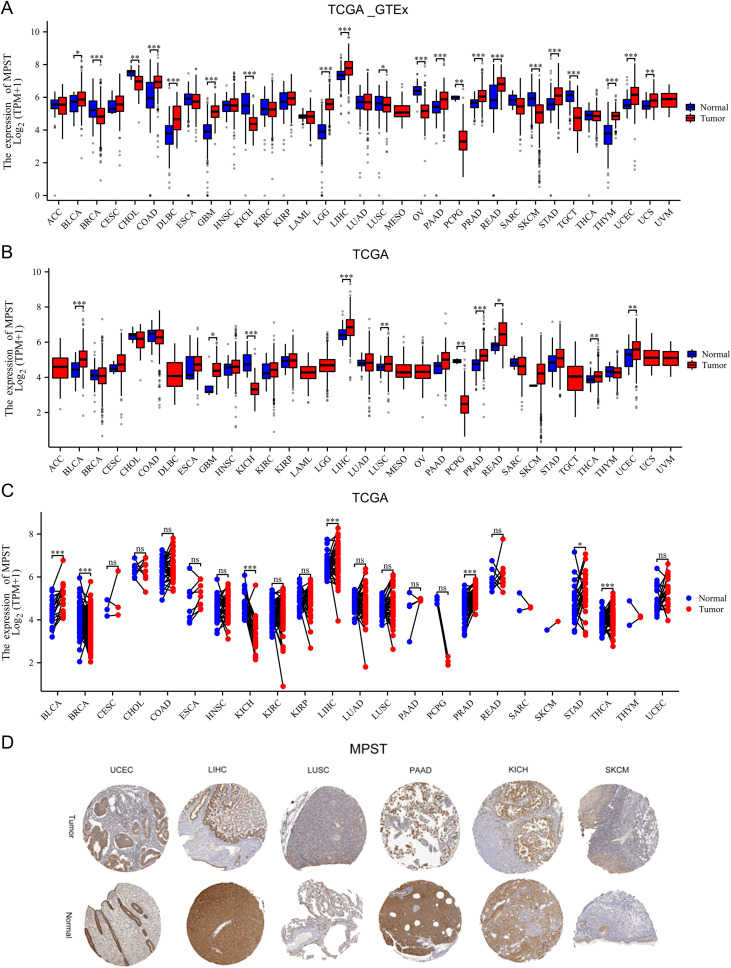 Figure 1