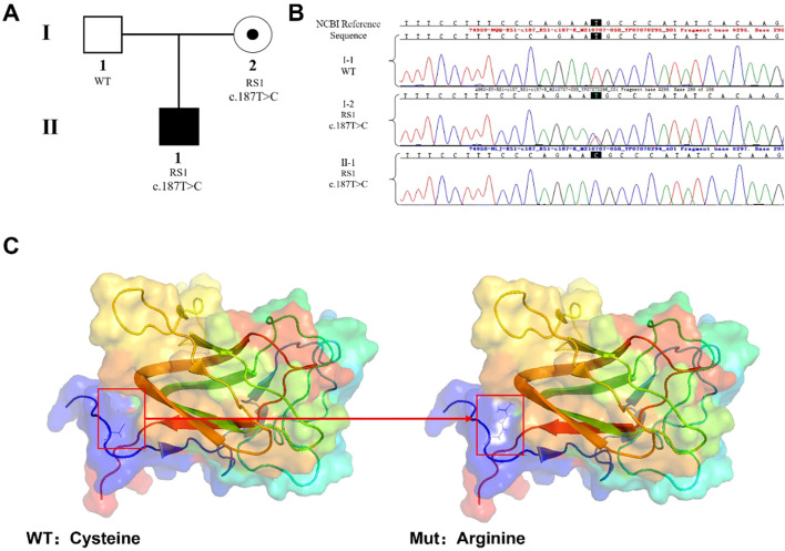 Figure 1