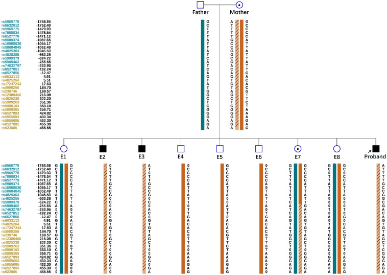 Figure 3