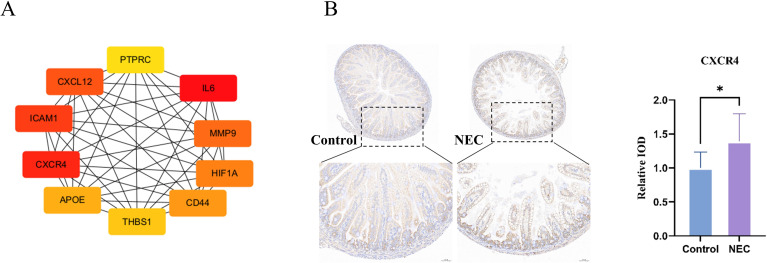 Figure 6
