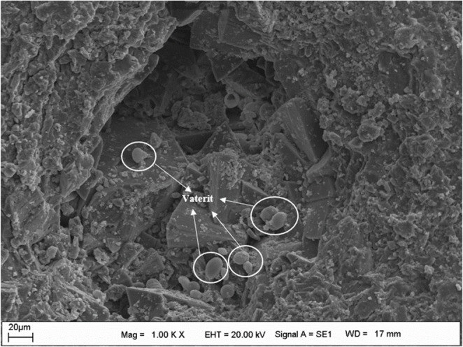 Figure 13