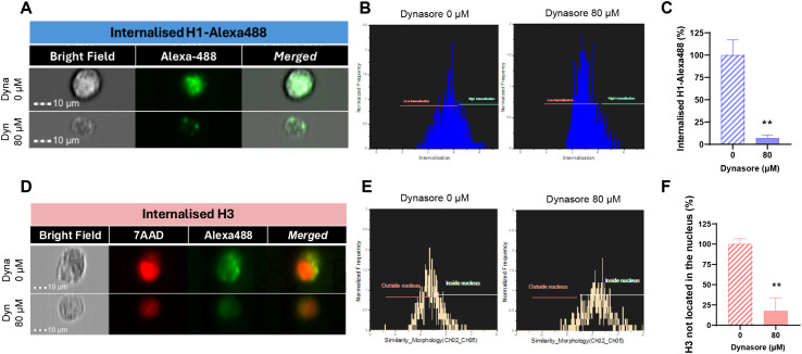 Figure 3