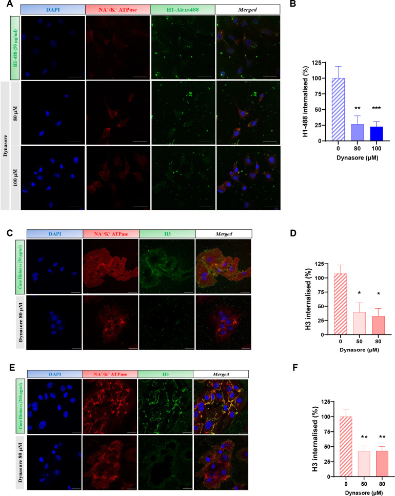 Figure 4