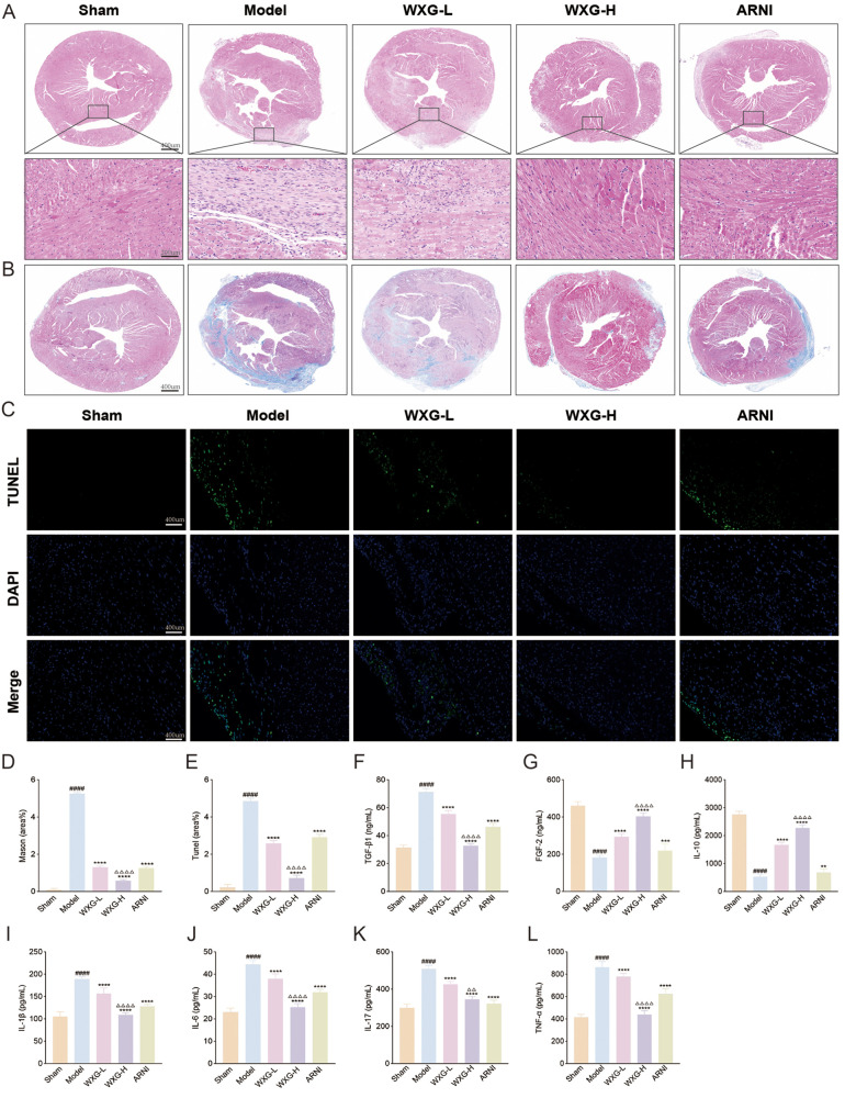 Figure 6