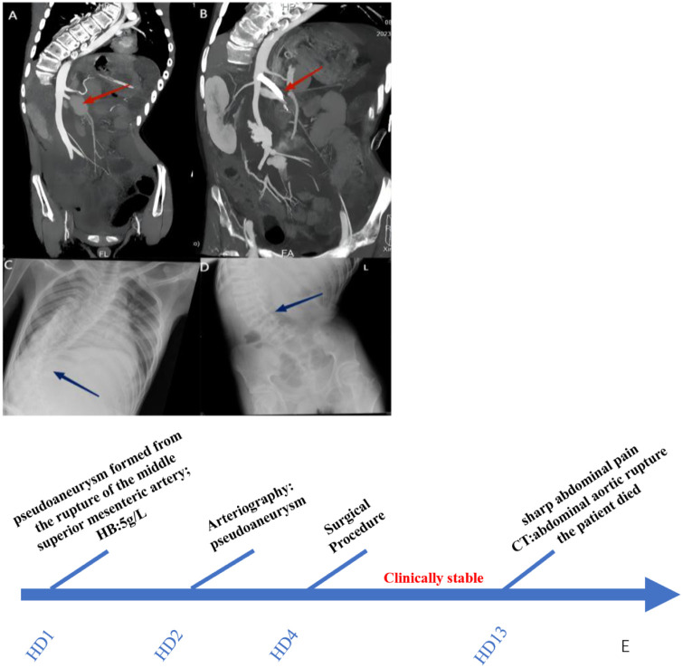 Figure 1