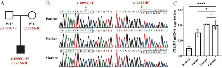 Figure 2
