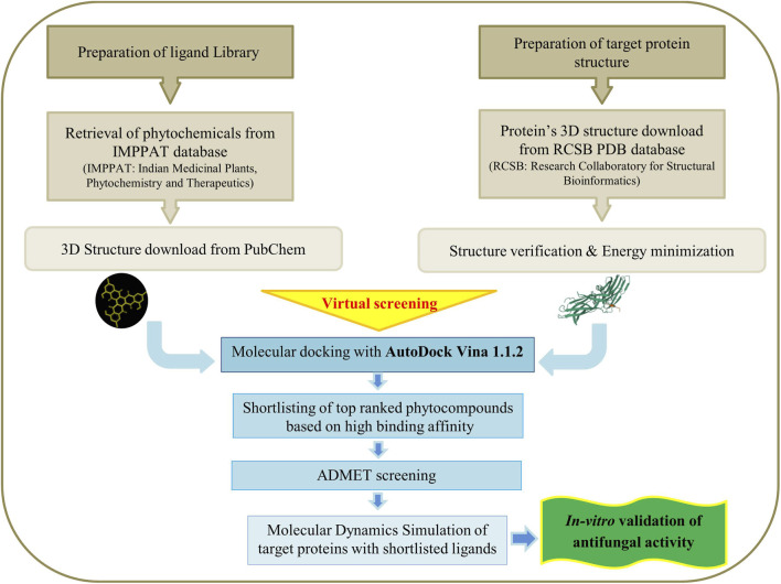 FIGURE 1