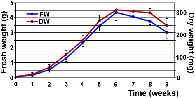 Figure 5