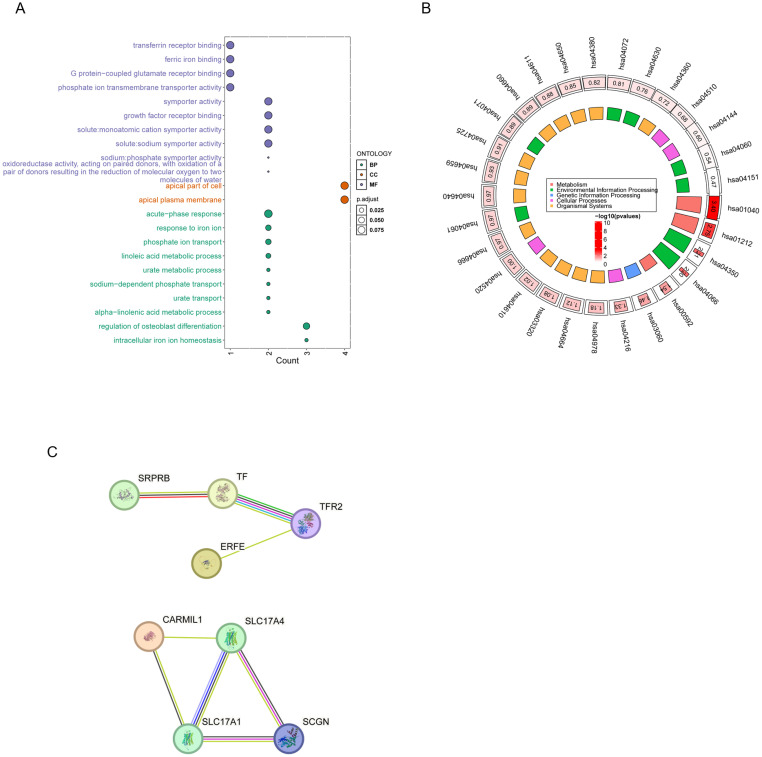Figure 4
