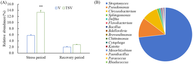 Figure 6