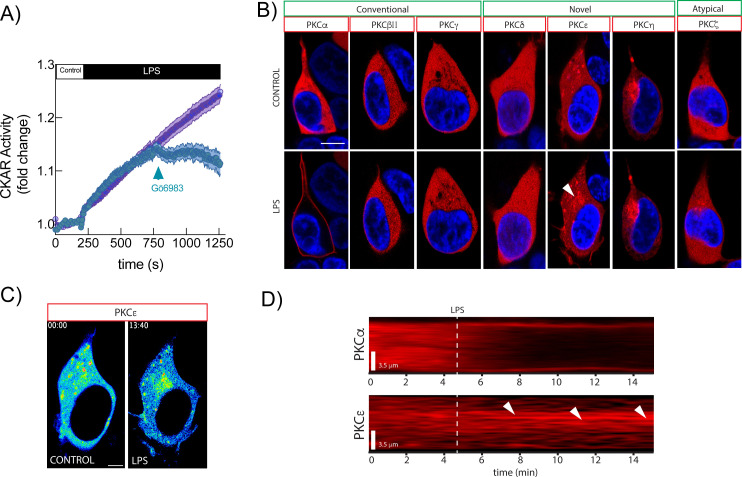 Figure 1